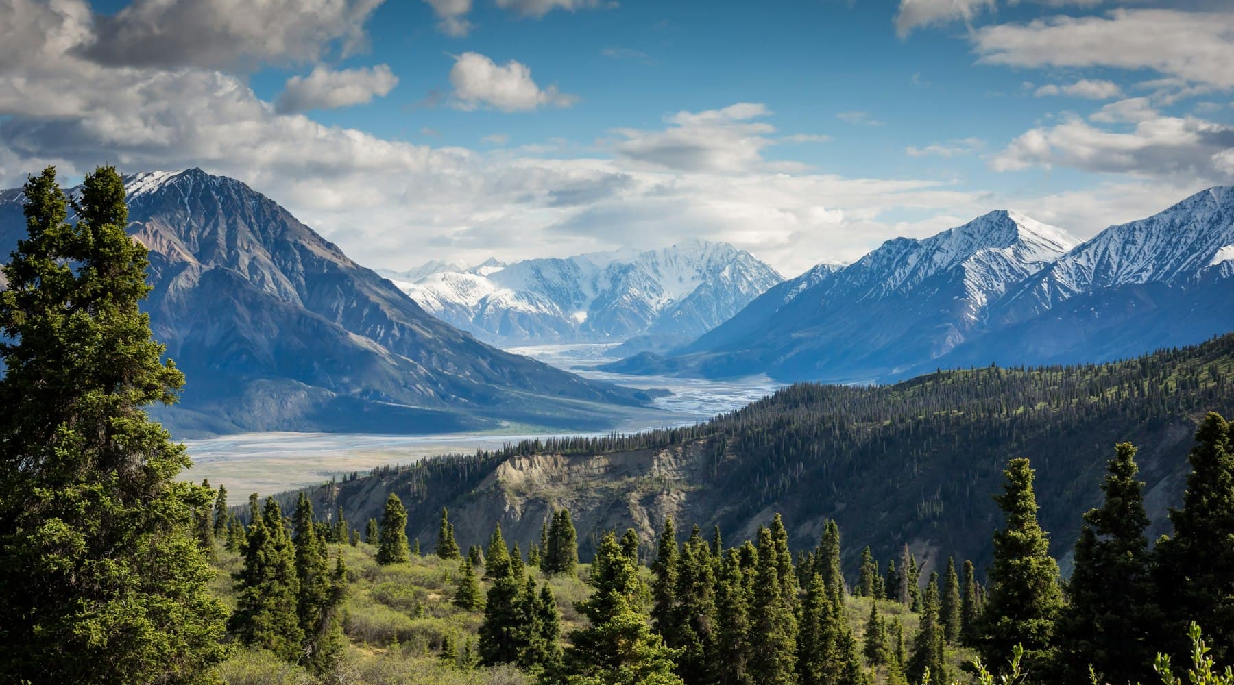 Mountain landscape with conifer forest